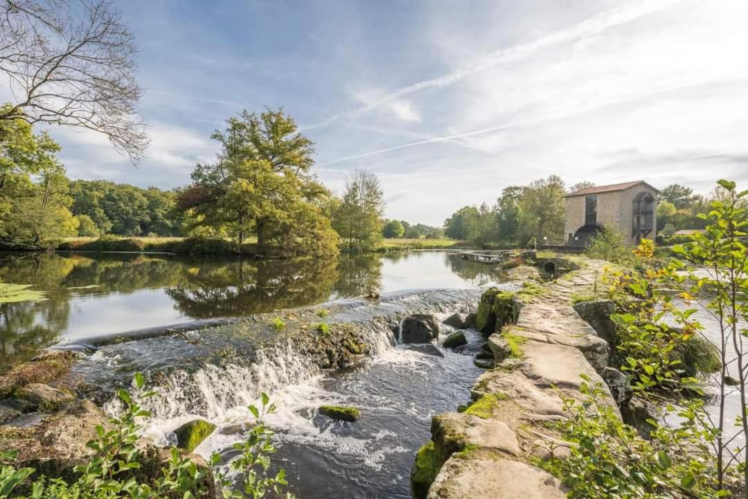La Dortiere S'amuse, Magnifique Maison De Maitre 12min Du Puy Du Fo Holiday home